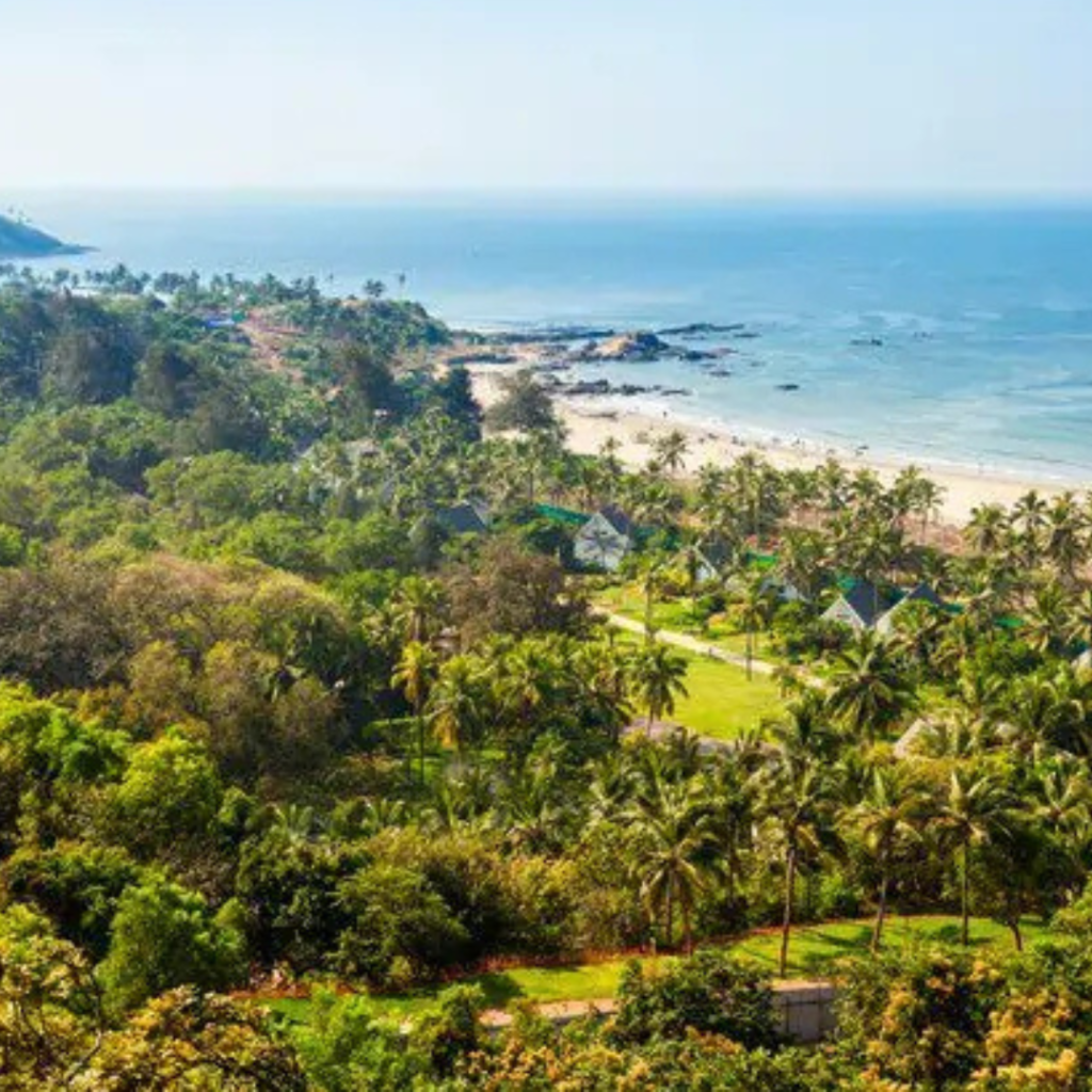 Untitled design (21)